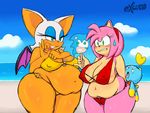  all_fours amy_rose anal beach camel_toe chao cheese_the_chao clothing dessert doggystyle excito food from_behind_position ice_cream implied inviting nude overweight rouge_the_bat seaside seductive sex slightly_chubby sonic_(series) surprise_buttsex swimsuit 