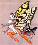  1995 anthro arthropod balls brown_eyes butterfly canine fox hybrid insect male mammal open_mouth solo terrie_smith wings 