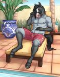  2016 anthro beverage blue_eyes chewycuticle clothed clothing dakota_(dark_stallion) equine eyewear food horse male mammal outside poolside solo sunglasses swimming_trunks swimsuit topless 