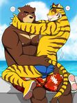  2016 abs anthro beach bear bearlovestiger13 biceps blue_eyes blush brown_fur butt chest_tuft clothed clothing duo eyes_closed feline fur hand_on_butt juuichi_mikazuki love male male/male mammal morenatsu muscular nipples on_lap outside pecs pink_nose seaside shorts sitting_on_lap summer sweat swimsuit tiger tongue tongue_out topless torahiko_(morenatsu) tuft white_fur 