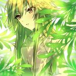  green idolmaster idolmaster_cinderella_girls ninomiya_asuka noda_(yncoon) orange_hair plant purple_eyes wet 