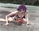  1girl all_fours bare_shoulders bikini black_bikini blunt_bangs breasts closed_eyes collarbone covered_nipples crab crab_claw feet_out_of_frame highres medium_breasts mitsuya57 monogatari_(series) nipple_stimulation nipple_tweak open_mouth outdoors pain purple_hair screaming senjougahara_hitagi sidelocks solo swimsuit 