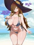  1girl beach bikini blue_sky blush breasts brown_eyes brown_hair cloud cloudy_sky colored_pubic_hair commentary english_text female_pubic_hair highres horizon kj-s kono_subarashii_sekai_ni_shukufuku_wo! large_breasts long_hair ocean outdoors pubic_hair sky swimsuit wiz_(konosuba) 