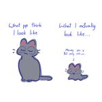  ._. :3 animal_focus artist_self-insert black_cat cat character_age closed_eyes commentary_request comparison english_text expectation_vs._reality glasses height highres mole mole_under_eye no_humans open_mouth original pipi_(m1x_mix) pipi_(m1x_mix)_(character) round_eyewear simple_background thai_commentary u_u white_background 