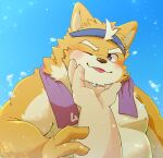  1boy absurdres animal_ears belly biceps blush closed_mouth commentary_request dog_boy dog_ears furry hand_on_another's_chin headband highres inakamichi looking_at_viewer male_focus musashi_(tamacolle) nipples one_eye_closed pectorals plump smile tamacolle tongue tongue_out topless_male towel towel_around_neck yellow_fur 