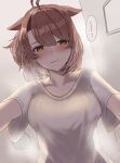  1girl ahoge animal_ears blush breasts brown_eyes brown_hair cleavage closed_mouth dantsu_flame_(umamusume) hair_between_eyes highres horse_ears horse_girl kaniitama large_breasts looking_at_viewer multicolored_hair shirt short_sleeves solo umamusume white_hair white_shirt 