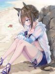  1girl animal_ears beach bikini bikini_shorts blue_bikini blue_eyes blue_swim_trunks blush braid breasts brown_hair cheval_grand_(summer_calm_navy_drop)_(umamusume) cheval_grand_(umamusume) cheval_grand_(umamusume)_(cosplay) cleavage closed_mouth collarbone commentary_request cosplay crab day hair_between_eyes half_up_braid heart heart_necklace highres hood hooded_jacket horse_ears horse_girl horse_tail jacket jewelry long_sleeves medium_breasts multicolored_hair naenaejkr navel necklace ocean official_alternate_costume official_alternate_hairstyle open_clothes open_jacket outdoors sandals shorts sitting smile solo stomach streaked_hair swimsuit tail umamusume water white_jacket white_streaks 