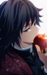  1boy absurdres apple black_hair black_jacket blue_eyes buttons commentary_request demon_slayer_uniform eating food fruit half-closed_eyes hand_up haori high_collar highres holding holding_food holding_fruit jacket japanese_clothes kikkoumon kimetsu_no_yaiba looking_at_viewer low_ponytail male_focus may_(illust_man_2020) ponytail print_haori red_haori signature simple_background solo spiked_hair tomioka_giyuu upper_body white_background 