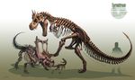  2_fingers beak bone ceratopsian_(species) claws dinosaur fight fossil frill invalid_tag nintendo pok&eacute;mon ribs roaring shield size_difference skeleton teeth theropod tyrannosaurus_rex video_games young 