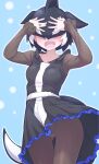  1girl belt black_hair blue_background blush cetacean_tail commentary_request fins fish_tail head_fins highres kemono_friends looking_at_viewer lowlandgorilla multicolored_hair open_mouth orca_(kemono_friends) orca_girl pantyhose shirt short_hair simple_background skirt solo tail two-tone_hair white_hair 