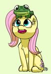  2016 ambiguous_gender amphibian cutie_mark duo equine eyelashes female feral fluttershy_(mlp) friendship_is_magic frog hair hi_res long_hair mammal my_little_pony open_mouth pabbley pegasus pink_hair simple_background wings 