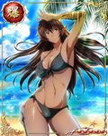  1girl armpits arshes_nei bastard!! beach bikini black_bikini breasts brown_hair card_(medium) cleavage clouds cowboy_shot dark_skin floating_hair green_eyes large_breasts legs long_hair looking_up mound_of_venus navel ocean outdoors pointy_ears solo standing sunlight thighs water 