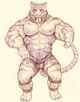 anthro balls feline iceman1984 male mammal muscular nipples penis sketch tiger white_tiger 