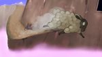  caprine dragon mammal marsminer sheep spyro spyro_the_dragon video_games 