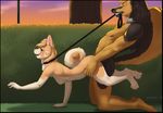  2016 4_toes all_fours anthro breasts canine collar dog doggystyle female from_behind_position fur gewitter hi_res leash male male/female mammal nude outside rika_(character) rip_(character) sex simple_background toes tongue 