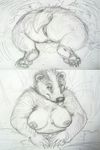  2016 anthro badger breasts eyes_closed female mammal mustelid nude oddwilds overweight pussy simple_background sketch solo 