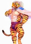  2016 abs anthro biceps black_fur clothed clothing digital_media_(artwork) feline fur hair iceman1984 looking_at_viewer male mammal mature_male muscular muscular_male orange_fur pecs simple_background solo stripes tiger white_background white_fur white_hair 