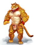  anthro balls censored collar erection feline iceman1984 male mammal muscular muscular_male navel nipples penis solo tiger 