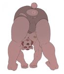  anus bear bulge clothing male mammal overcross solo torn_clothing underwear 