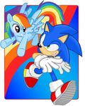  anthro blue_feathers cooleevee759_(artist) cutie_mark duo equine feathered_wings feathers female feral friendship_is_magic fur hair hedgehog horse male mammal multicolored_hair my_little_pony open_mouth pegasus pony rainbow_dash_(mlp) rainbow_hair smile sonic_(series) sonic_the_hedgehog video_games wings 