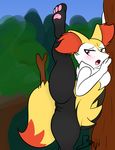  2016 benji-fox blush braixen canine day female flexible forest fox grin hi_res leg_glider_position mammal nintendo nude outside pok&eacute;mon pussy raised_leg semi-anthro sex simple_background solo splits spread_legs spreading standing thick_thighs tree video_games 