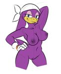  anthro areola avian bandanna beak bird blue_eyes breasts clothing edit female gloves kloudmutt looking_at_viewer navel nipples nude pussy seth65 simple_background solo sonic_(series) sonic_riders standing swallow_(bird) wave_the_swallow white_background 