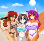  beach beachbabes bikini brown_hair canine chick cinnamama clothing dox feathertail feline fox fyxe hair hyper hyperboobs mammal red_hair seaside snowshowcat spazzykoneko summer swimsuit 