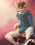  blue_eyes bottomless canine casparr clothed clothing cum cum_on_ground fox hindpaw hoodie knot looking_at_viewer male mammal masturbation paws penis seductive sitting solo underwear_down 