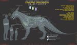  artificial_intelligence dragon english_text evalion mechanical_dragon model_sheet scalie schematic synthetic text 