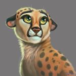 cat cheetah delkon feline female headshot lineless lovely mammal portrait spots 