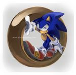  2016 anthro black_nose clothing english_text footwear gloves green_eyes hedgehog male mammal one_eye_closed smile solo sonic_(series) sonic_the_hedgehog text video_games wink カロ藤 