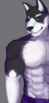  canine dog fluffy fur husky male mammal muscular portrait revous sebastian_king simple_background smile solo 
