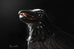  avian bird corvid darkness female painterly rainbow raven refraction swish 