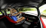  car driving feline interior lighting lynx male mammal painterly road swish vehicle 