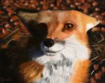  canine feral fox male mammal ronron swish 