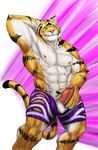  2016 abs anthro armpits balls biceps black_fur clothed clothing disney erection feline fur green_eyes hand_behind_head looking_at_viewer male mammal muscular muscular_male nipples orange_fur pecs penis pose raised_arm rwolf smile solo standing stripes stripper_tiger_(zootopia) tiger topless white_fur zootopia zootopia_shorts 