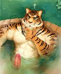  2016 ? abs absurd_res anthro bath biceps big_muscles black_fur claws erection feline fur green_eyes hi_res looking_at_penis looking_down male mammal muscular muscular_male nude open_mouth orange_fur pecs penis pockyrumz relaxing solo stripes tiger vein veiny_penis water whiskers white_fur 
