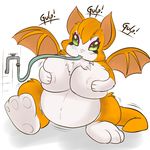  big_breasts breasts dust:_an_elysian_tail faucet female fidget fur hose inflation mammal membranous_wings nimbat orange_fur pixelstarpony spread_legs spreading video_games water_inflation wings 