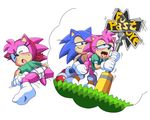  amy_rose bottomless clothed clothing coolblue from_behind_position pussy sex sonic_(series) sonic_cd sonic_the_hedgehog 