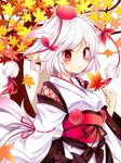  animal_ears autumn_leaves blush breasts chikuwa_savi detached_sleeves floppy_ears hat highres inubashiri_momiji japanese_clothes kimono kourindou_tengu_costume leaf looking_at_viewer obi pom_pom_(clothes) red_eyes sash short_hair silver_hair small_breasts solo tail tokin_hat touhou wolf_ears wolf_tail 