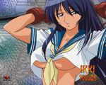  ikkitousen kanu_unchou tagme 