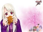  chibi emiya_shirou fate/stay_night illyasviel_von_einzbern matou_sakura rider tohsaka_rin 