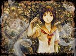  haibane_renmei tagme 