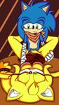  canine female fox hedgehog male mammal nilmarween raianonzika sonic_(series) sonic_boom sonic_the_hedgehog zooey_the_fox 