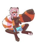  anthro boxer_briefs clothing hair kellwolfik looking_at_viewer male mammal navel red_panda simple_background sitting smile solo striped_hair underwear white_background white_hair 