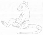  animal_genitalia anthro balls big_balls erection greyscale holding_balls long_tail looking_at_self looking_down male mammal mizzyam monochrome pencil_(artwork) penis rat reclining rodent semi-anthro sheath sitting solo tapering_penis traditional_media_(artwork) 