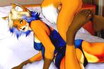  anthro bed blush canine elise_(greyhunter) female fox fur kosmikophobia mammal slave solo 