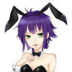  1girl animal_ears breasts bunny_ears bunny_girl bunnysuit cleavage gorillaz green_eyes looking_at_viewer noodle_(gorillaz) purple_hair 