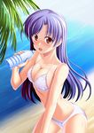  beach bikini blue_hair blush bottle breasts brown_eyes highres idolmaster idolmaster_(classic) kisaragi_chihaya large_breasts long_hair open_mouth solo swimsuit takase_hiro water_bottle 