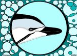  2002 ambiguous_gender cetacean dolphin feral mammal marine phinna solo whale 